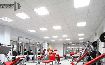   IRON FITNESS 