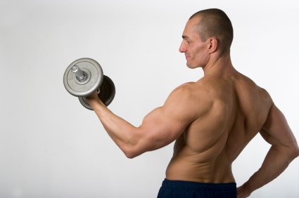 DHEA для роста мышц