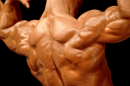 6 мифов о мускулах